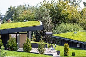 Tradespeople going green - living roof