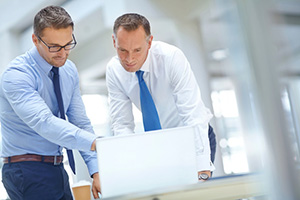 Two mature businessmen standing and using a laptop
