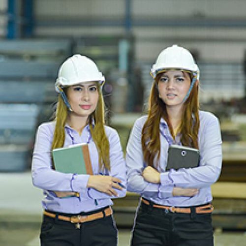 Female Tradespeople
